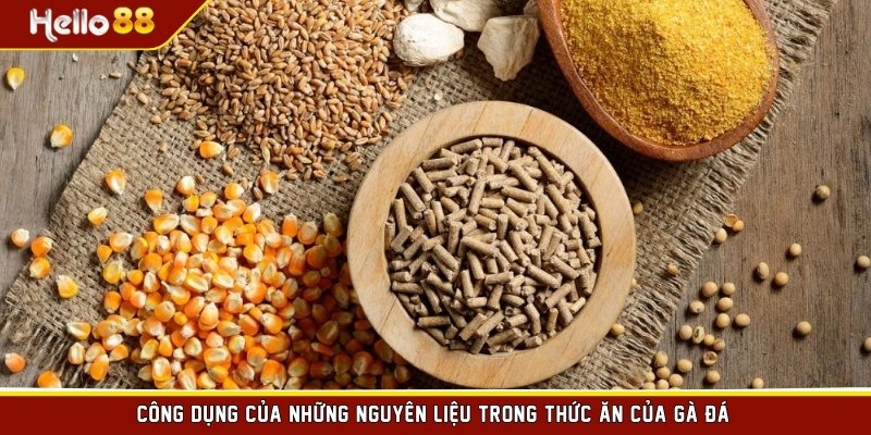 Công dụng của những nguyên liệu trong thức ăn của gà đá