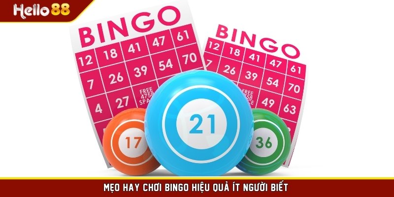 Mẹo hay chơi Bingo hiệu quả ít người biết