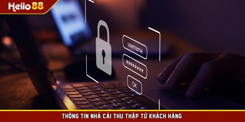 Thông tin nhà cái thu thập từ khách hàng