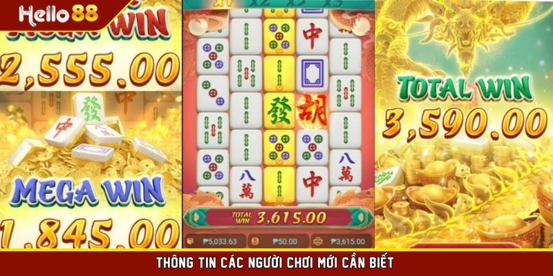 Thông tin các người chơi mới cần biết