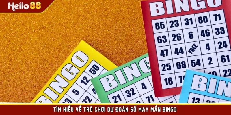 Tìm hiểu về trò chơi dự đoán số may mắn Bingo