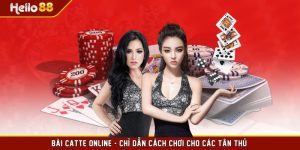 Bài Catte Online - Chỉ Dẫn Cách Chơi Cho Các Tân Thủ