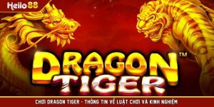 Chơi Dragon Tiger - Thông Tin Về Luật Chơi Và Kinh Nghiệm